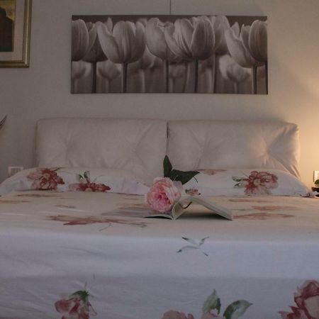 Santa Maria Nuova Il Giardino Delle Rose Bed & Breakfast エクステリア 写真